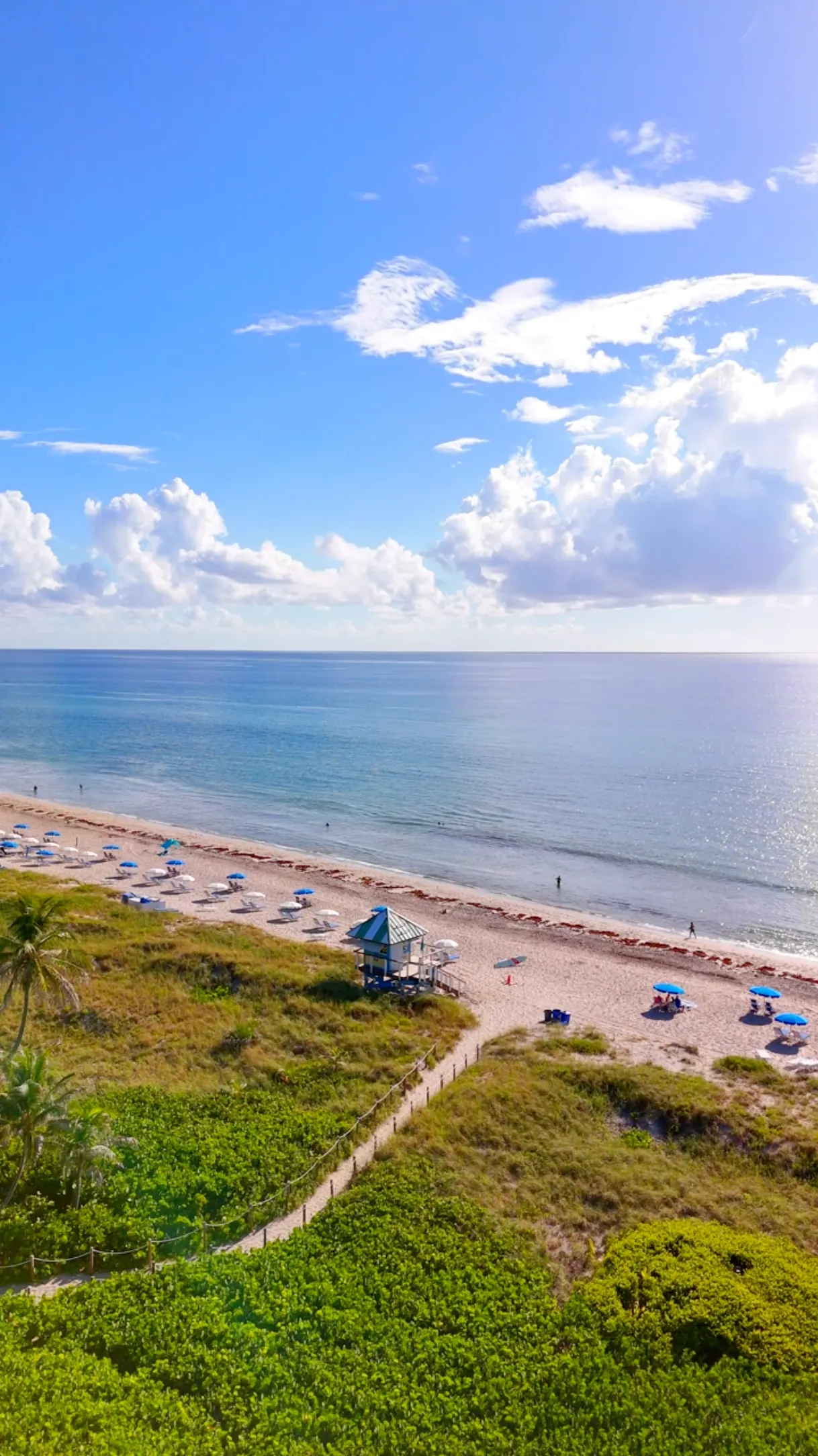 The beach from above: dunes, a lifeguard stand and blue umbrellas along the shore